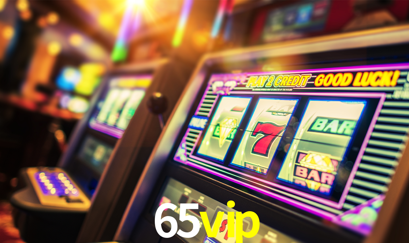 65VIP.COM