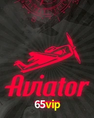 65VIP.COM