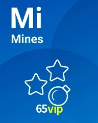 65VIP.COM